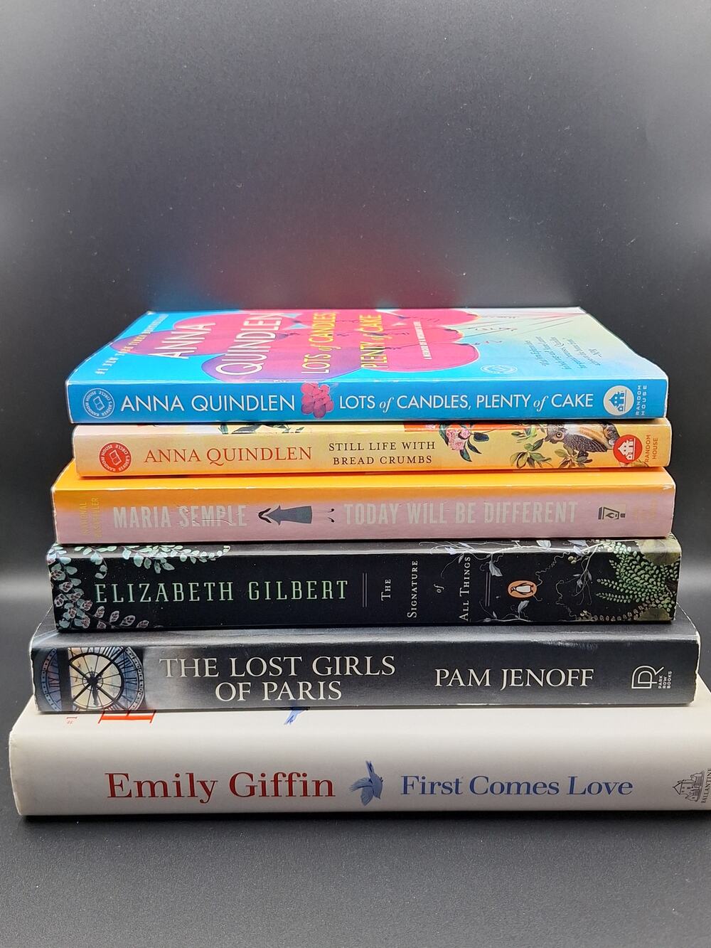 Adult Fiction Book Lot 6 Best Sellers Book Club Novels Anna Quindlen Giffin
